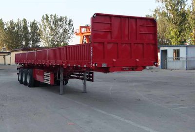 Liangyi TYK9401Ztipping chassis 