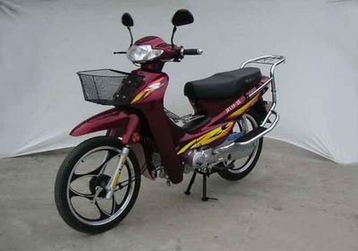 Shuangqiang  SQ1102X Two wheeled motorcycles