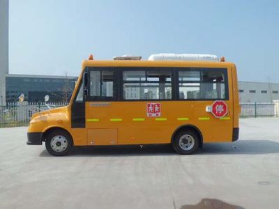 Wuzhoulong  FDG6590FX Preschool school bus