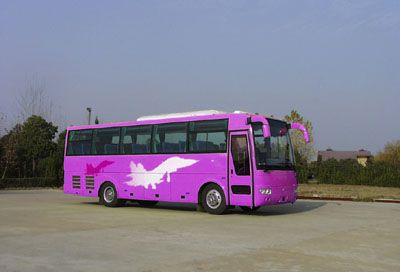 Yutong  ZK6960HC coach