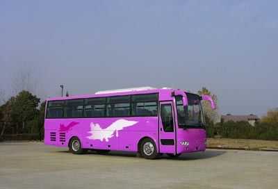 Yutong  ZK6960HC coach