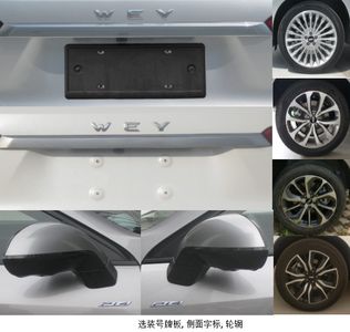 Weipai  CC6484AD21CPHEV Plug in hybrid multi-purpose passenger vehicles