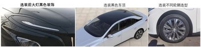 Hongqi  CA7000H0SEVA Battery swappable pure electric sedan