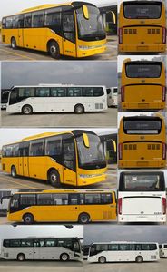 Jinlong  XMQ6110ACD5T coach