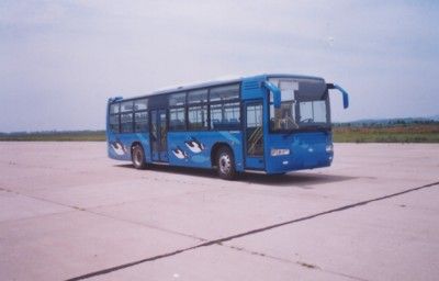 Huanghai  DD6111S09 City buses