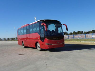 Heilongjiang brand automobile HLJ6100HLPHEV Hybrid electric buses