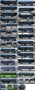 Yutong  ZK6106FCEVG10 Fuel cell low entry city buses