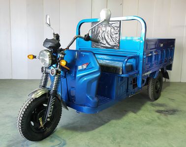 Baoya  BY1500DZH7 Electric tricycle