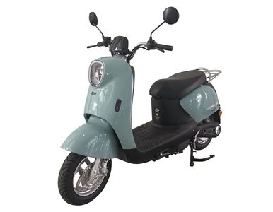 Green Jia  LJ1200DT16 Electric two wheeled motorcycle