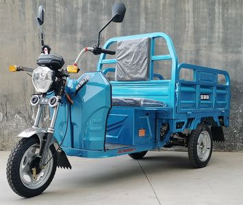 Jiashili  JSL1000DZH3 Electric tricycle