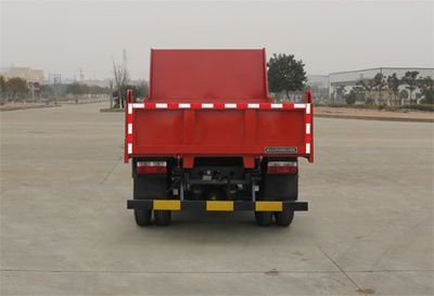 Yanlong  YL3040GSZ1 Dump truck