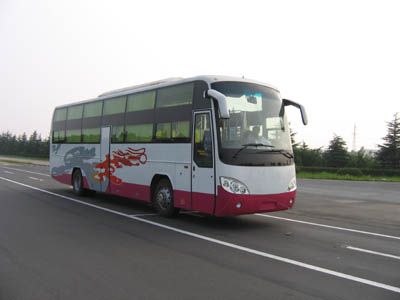 Star Kailong HFX6122WK68Sleeper coach