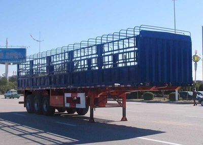 CIMC ZJV9401CCYYK51 Gantry transport semi-trailer