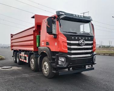 Hongyan  CQ3317EV11366 Dump truck