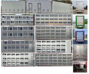 Chufeng  HQG5180XCQ6DF Poultry transport vehicle