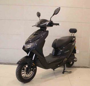 Yuqiling  YQL2000DT Electric two wheeled motorcycle