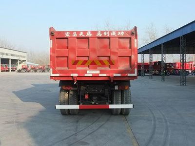 Hongchang Tianma  SMG3258BJN38H5P3 Dump truck