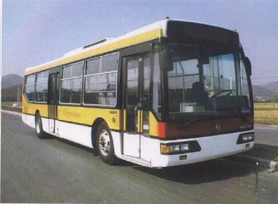 Dongfeng DHZ6100RC3City buses