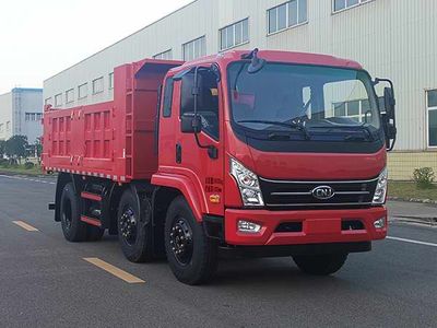 Nanjun  NJA3240QPF43V Dump truck