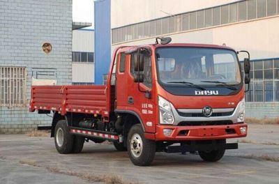 Dayu  DYC1075UTBG2 Truck