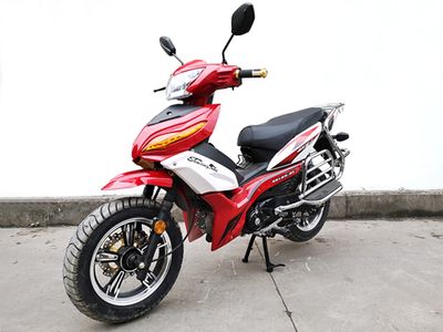 Shuangshi  SS1259C Two wheeled motorcycles