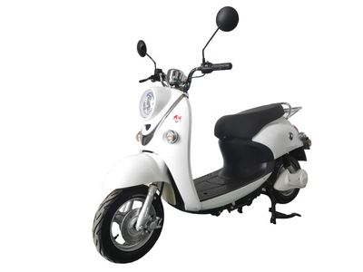 Dayang  DY600DQT2 Electric two wheeled light motorcycle