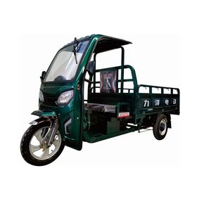 Liyang  LY2000DZH3 Electric tricycle