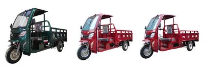 Liyang  LY2000DZH3 Electric tricycle