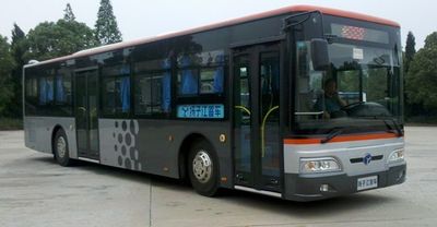 Yangtze River brand automobiles WG6122CHM4 City buses