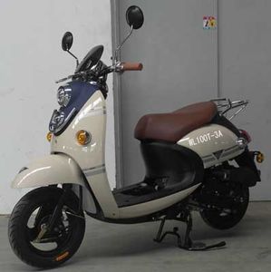 Wanglong  WL100T3A Two wheeled motorcycles