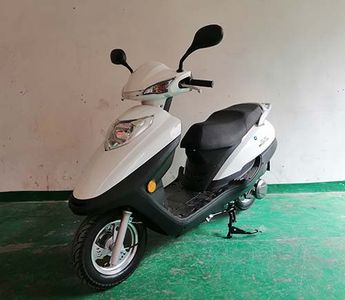 Sansong SS125T10STwo wheeled motorcycles