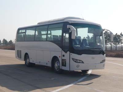 Elephant SXC6900C1coach