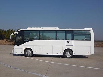 Elephant  SXC6900C1 coach