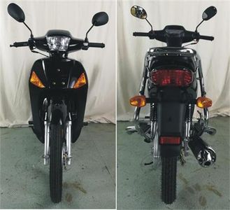 Sanben  SM1102D Two wheeled motorcycles