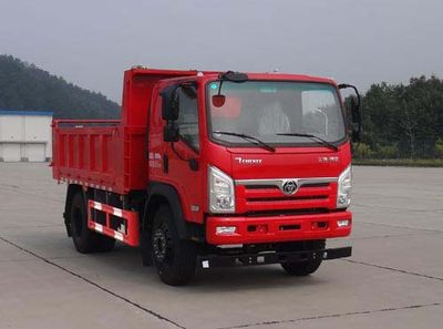 Shitong STQ3181L03Y2N5Dump truck