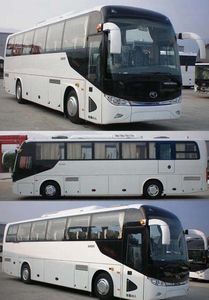 Jinlong  XMQ6113BYBEVL3 Pure electric passenger cars