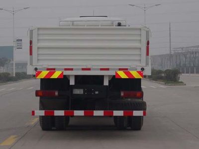 Shaanxi Automobile SX1255NR564C Truck