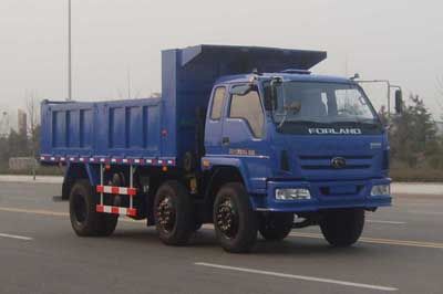 Foton  BJ3193DKPFB1 Dump truck