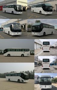 Foton  BJ6112U7BHB1 coach