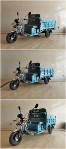 Chunpeng  CP1500DZH4 Electric tricycle