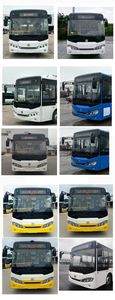 Chinese license plate cars TEG6802BEV09 Pure electric city buses