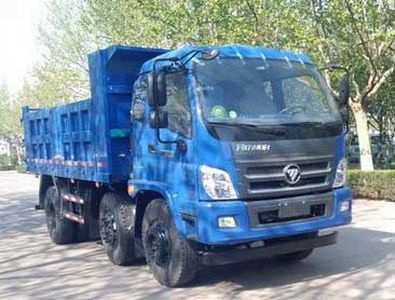 Foton  BJ3193DKPEBFA Dump truck