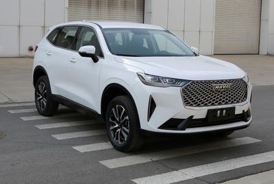 Haval CC6470AH01G multi-purpose vehicle 