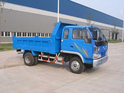 Dongfang Hongpai Automobile LT3031BM Dump truck