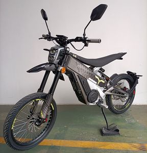 Dongben  DB4000DYA Electric two wheeled motorcycle