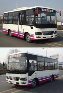 Shaolin  SLG6667C5GZ City buses