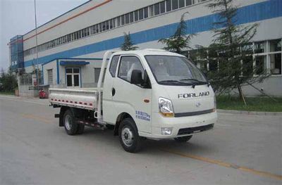 Foton  BJ1046V9PB5H1 Truck