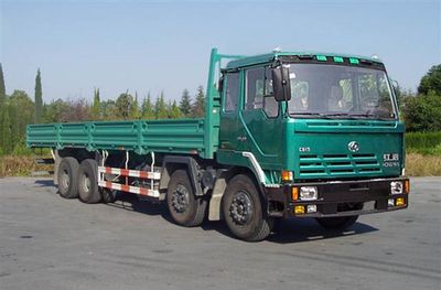 Hongyan  CQ1193TNG426 Truck