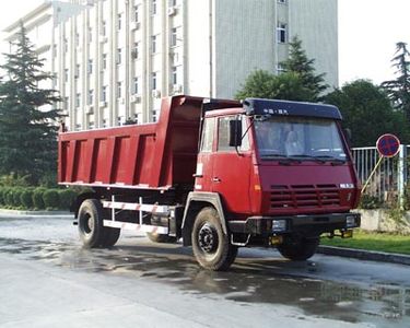 Shaanxi Automobile SX3194BM401 Dump truck