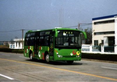 Friendship  ZGT6803DH3 City buses